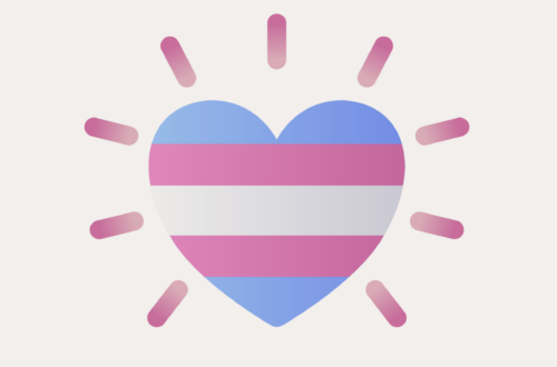 trans db medical service database